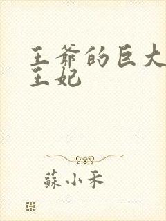 王爷的巨大进入王妃