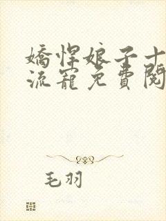 娇悍娘子十夫轮流宠免费阅读全文