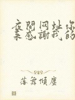 夜间网址你会回来感谢我的