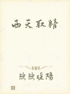 西天取精