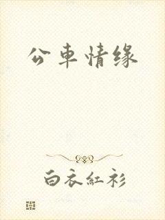 公车情缘
