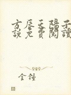 方辰天阳子的小说免费阅读