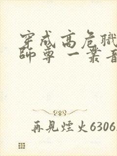 穿成高危职业之师尊 一丛音