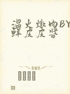 温火炖肉BY海鲜皮皮酱