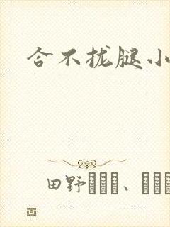 合不拢腿小说