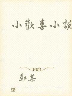 小欢喜小说