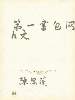 第一书包网高辣h文