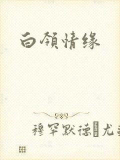 白领情缘