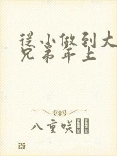 从小做到大骨科兄弟年上