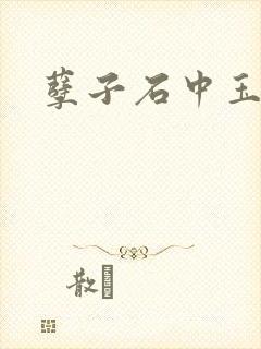 孽子石中玉