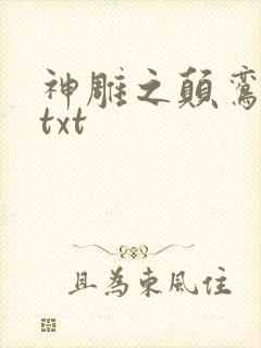 神雕之颠鸾倒凤txt