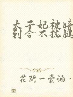 太子妃被暗卫C到合不拢腿