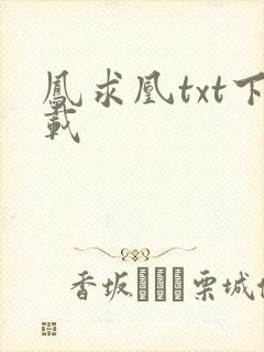 凤求凰txt下载