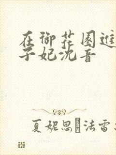 在御花园进入太子妃沈音