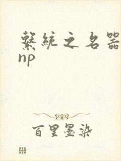 系统之名器攻略np