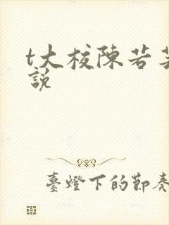 t大校陈若芸小说