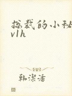 总裁的小秘书1v1h