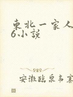 东北一家人1一6小说