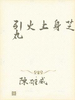 引火上身芝麻糖丸