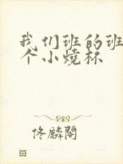 我们班的班花是个小烧杯