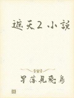 遮天2 小说封面