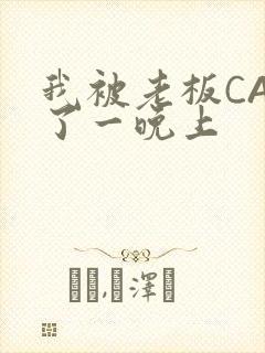 我被老板CAO了一晚上