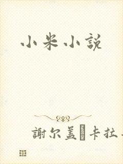 小米小说