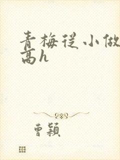青梅从小做到大高h