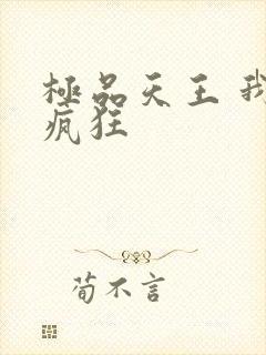 极品天王 我本疯狂