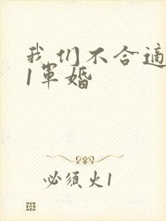 我们不合适1v1军婚