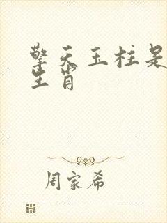 擎天玉柱是什么生肖