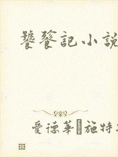 饕餮记小说