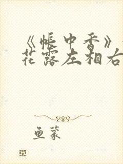 《帐中香》金银花露左相右相