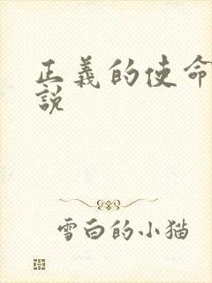 正义的使命 小说