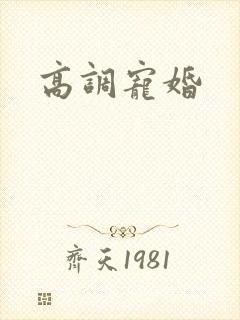 高调宠婚