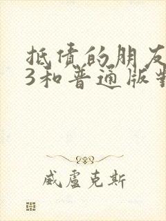 抵债的朋友麦子3和普通版对比