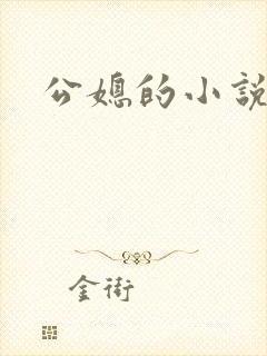 公媳的小说