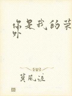 你是我的荣耀番外