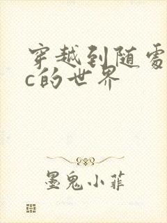 穿越到随处可以c的世界