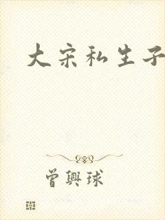 大宋私生子
