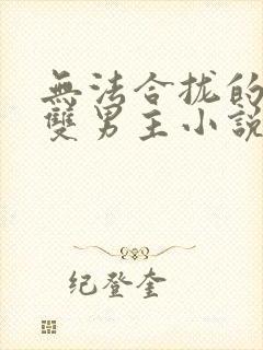 无法合拢的总裁双男主小说