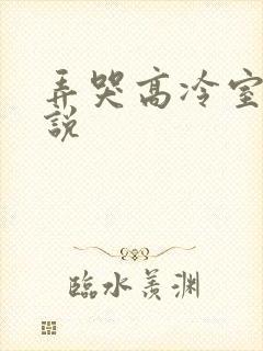 弄哭高冷室友小说