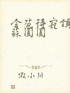 含苞待宠镇国公苏圆圆