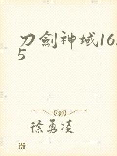 刀剑神域16.5