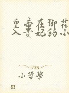 皇帝在御花园进入贵妃的小说