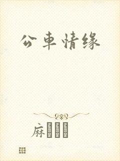 公车情缘