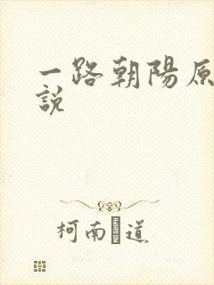 一路朝阳原著小说