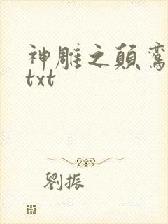 神雕之颠鸾倒凤txt