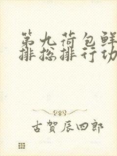 第九荷包鲜辣肉排总排行功能介绍