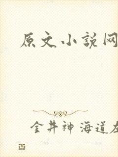 原文小说网